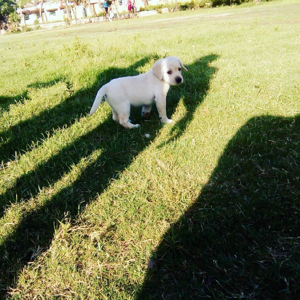 513928919 24043156745304417 3334470659402024249 n